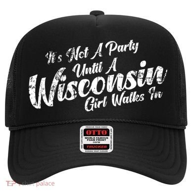 Its Not A Party Until A Wisconsin Walks In Gift Hat