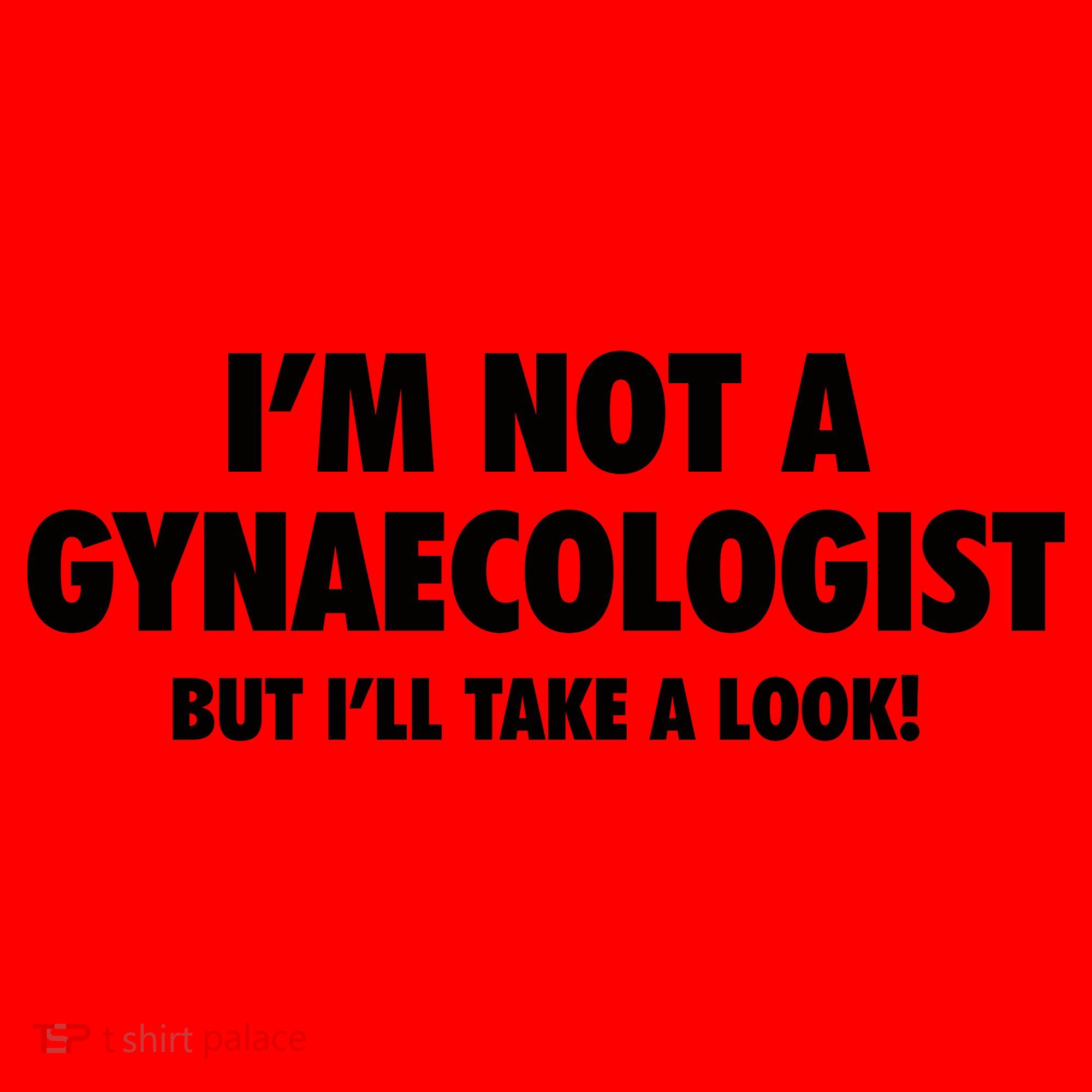 IM Not A Gynaecologist But ILl Take A Look Santa Hat