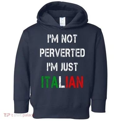 Toddler Hoodie