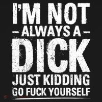IM Not Always A Dick Just Ding Go Fuck Yourself Gift Women's Hoodie thumb 2
