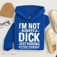 IM Not Always A Dick Just Ding Go Fuck Yourself Gift Hoodie thumb 4