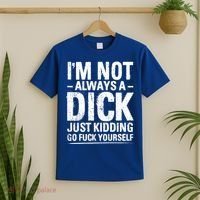 IM Not Always A Dick Just Ding Go Fuck Yourself Gift T-Shirt thumb 2