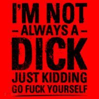 IM Not Always A Dick Just Ding Go Fuck Yourself Gift Santa Hat thumb 1