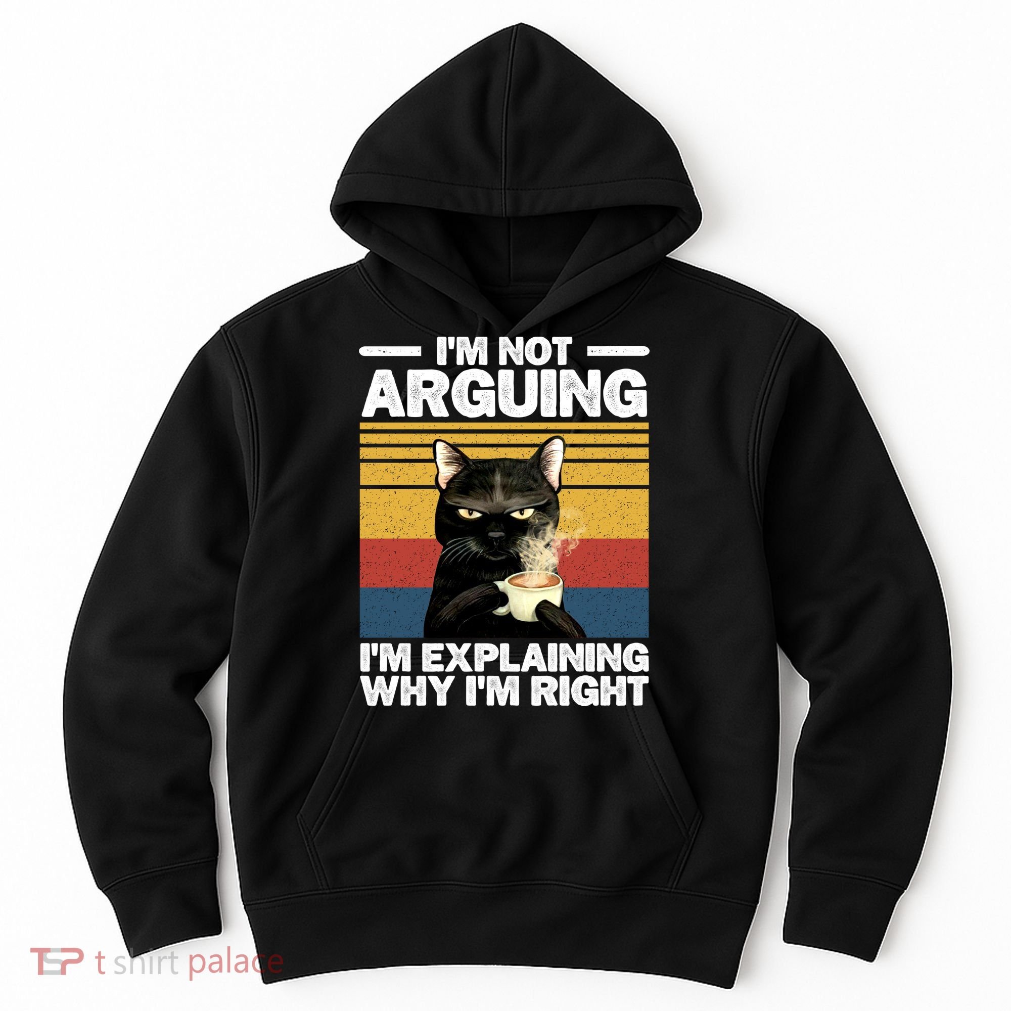 I'm Not Arguing I'm Explaining Why I'm Right Funny Cat Hoodie