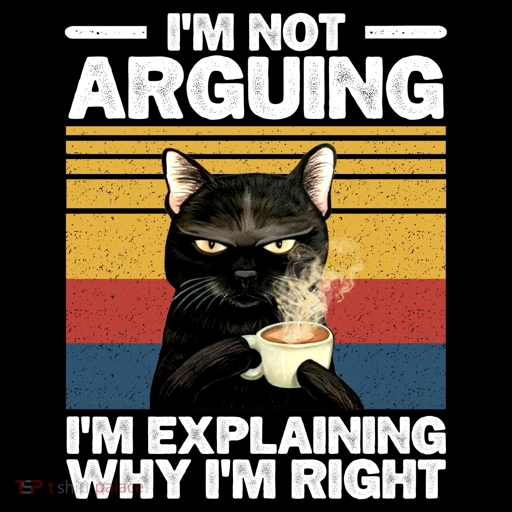 I'm Not Arguing I'm Explaining Why I'm Right Funny Cat Toddler Hoodie
