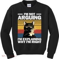 I'm Not Arguing I'm Explaining Why I'm Right Funny Cat Kids Sweatshirt thumb 0