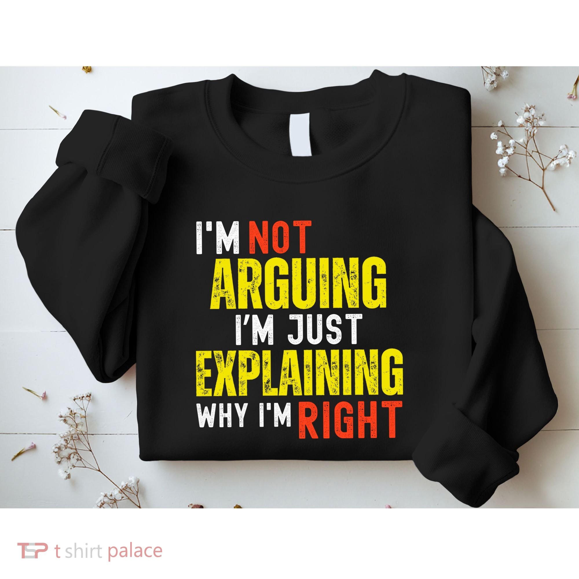 IM Not Arguing IM Just Explaining Why IM Right Sweatshirt