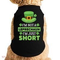 St Patricks Day, Funny St Patricks Day, St Patricks Day Leprechaun Doggie Tank thumb 0