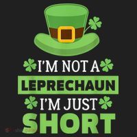 St Patricks Day, Funny St Patricks Day, St Patricks Day Leprechaun Hat thumb 2
