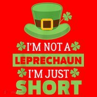 St Patricks Day, Funny St Patricks Day, St Patricks Day Leprechaun Santa Hat thumb 1