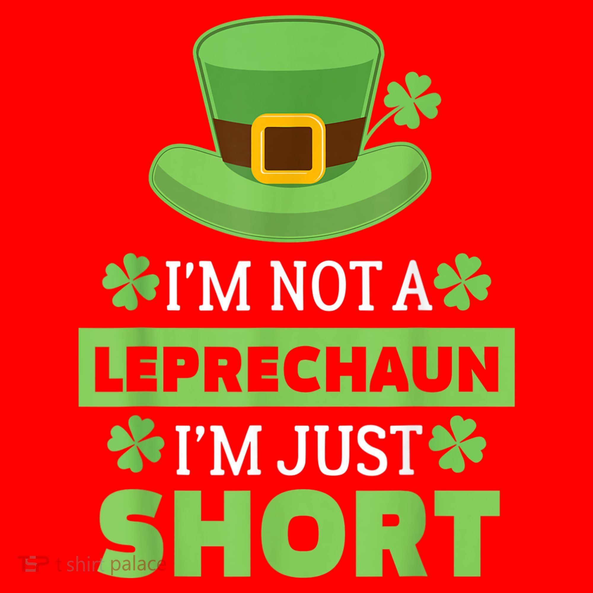 St Patricks Day, Funny St Patricks Day, St Patricks Day Leprechaun Santa Hat