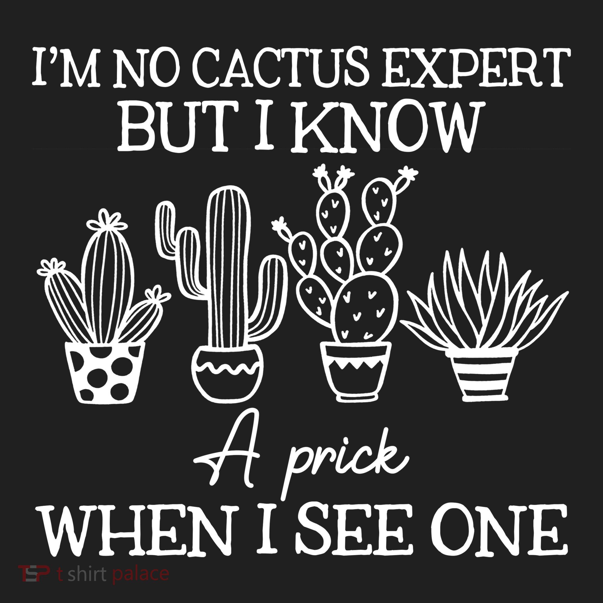 IM No Cactus Expert But I Know A Prick When I See One Beanie