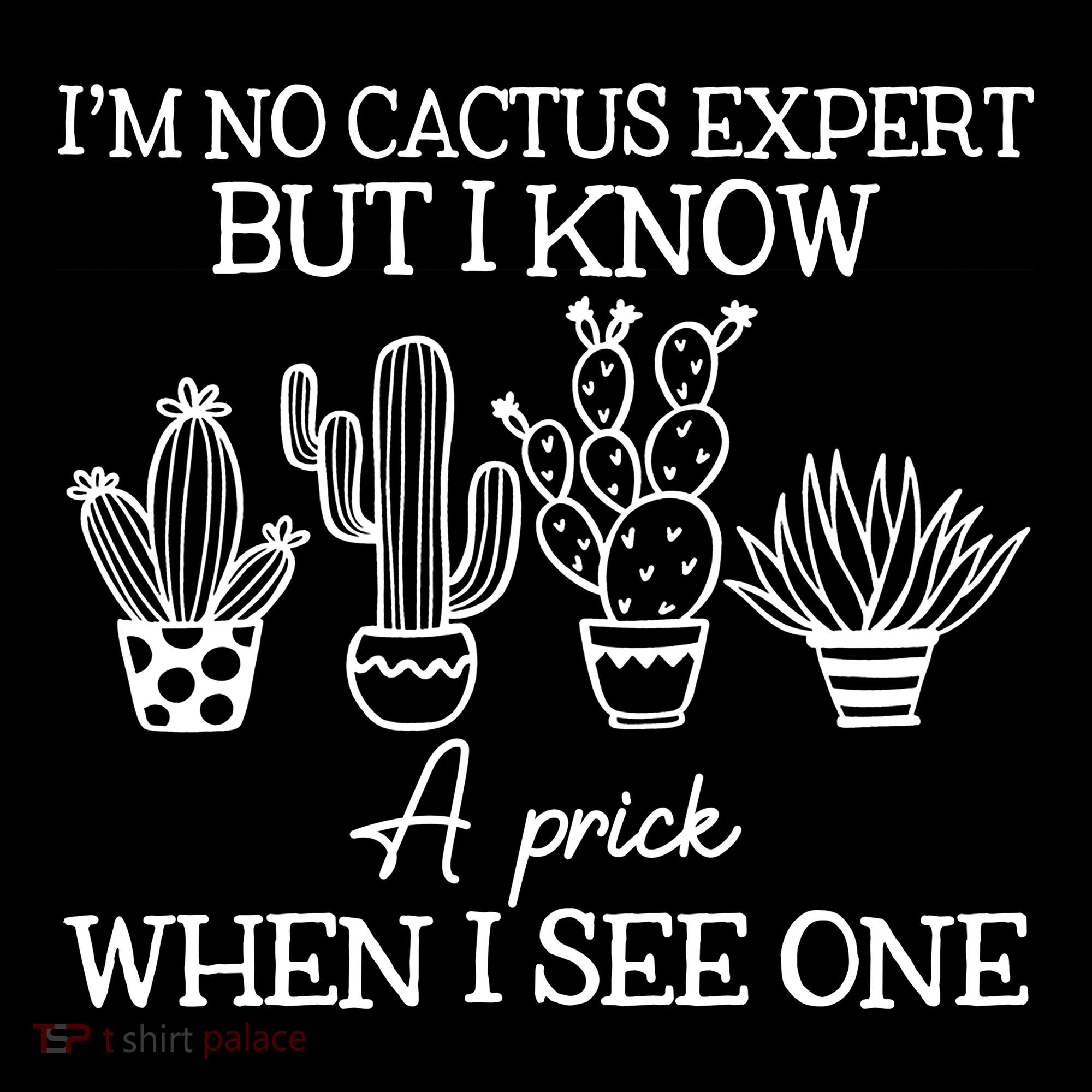 IM No Cactus Expert But I Know A Prick When I See One Women's Hoodie