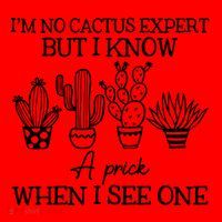 IM No Cactus Expert But I Know A Prick When I See One Santa Hat thumb 1