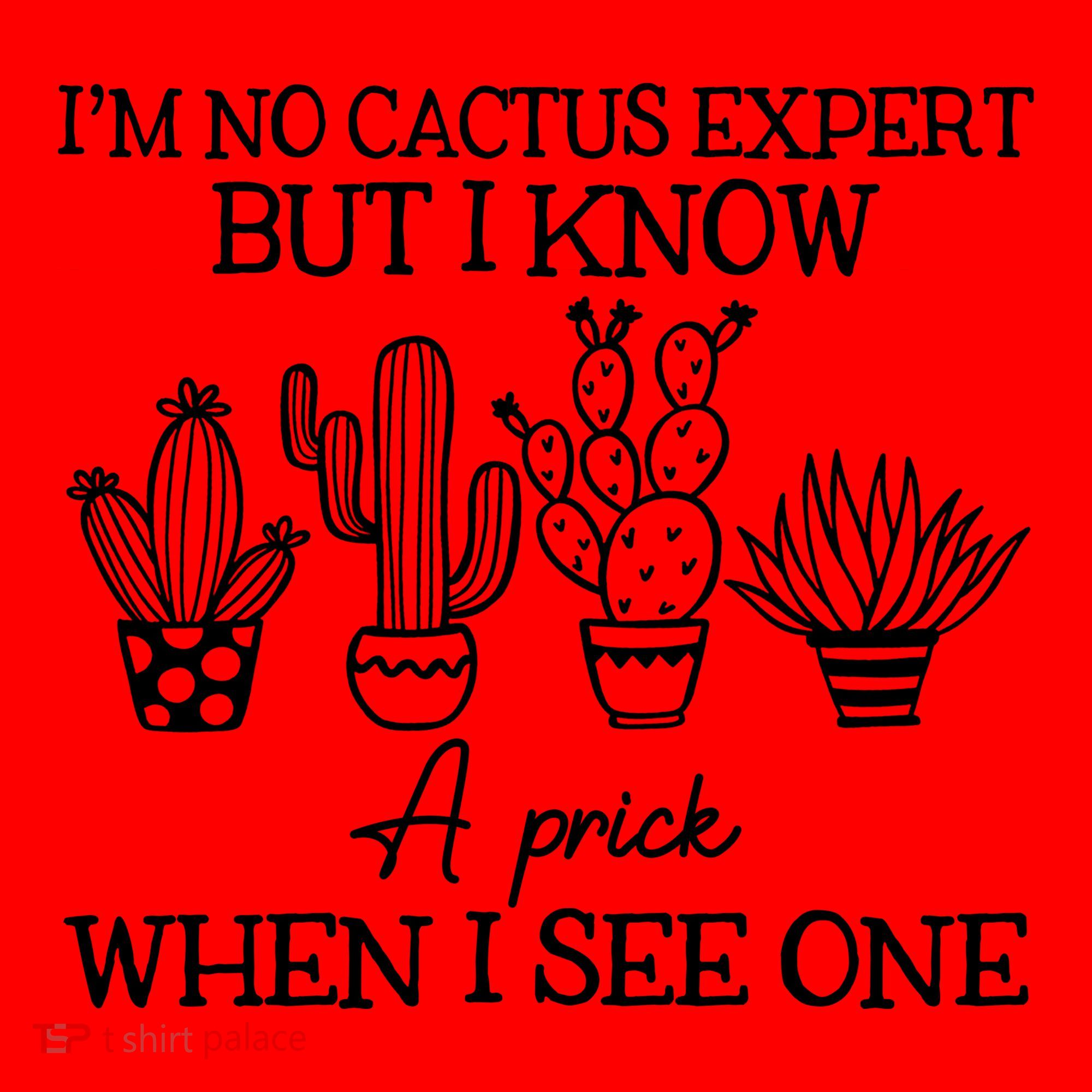 IM No Cactus Expert But I Know A Prick When I See One Santa Hat