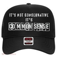 Its Not Conservative Its Common Sense Hat thumb 0