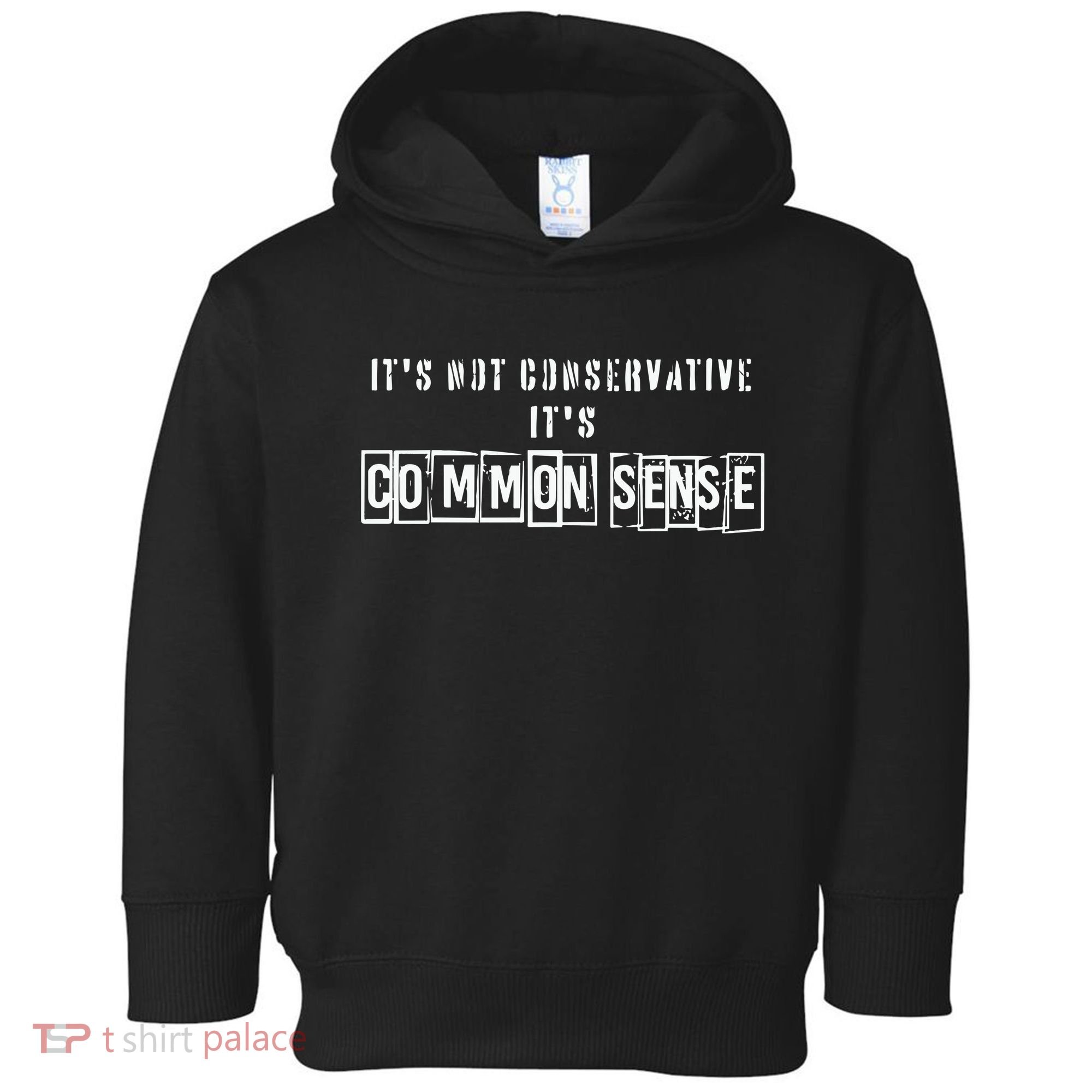Its Not Conservative Its Common Sense Toddler Hoodie