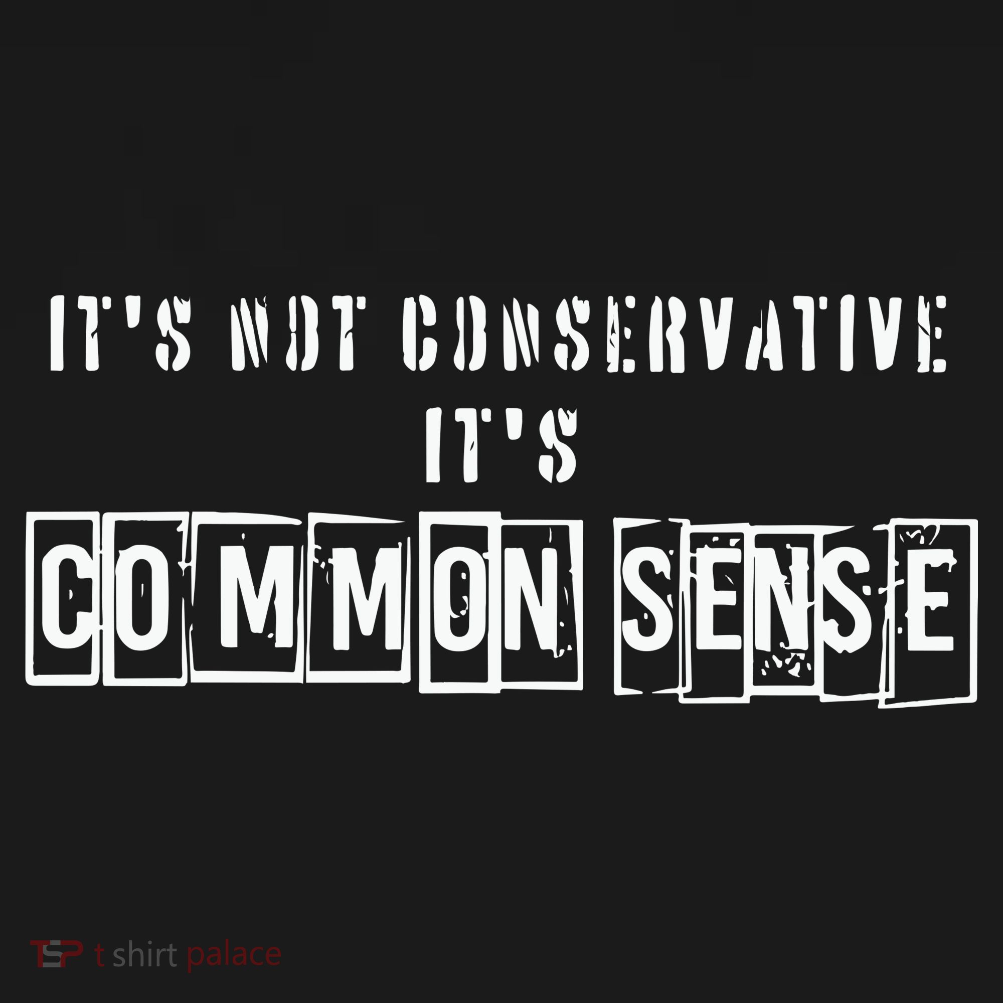 Its Not Conservative Its Common Sense Women's V-Neck T-Shirt