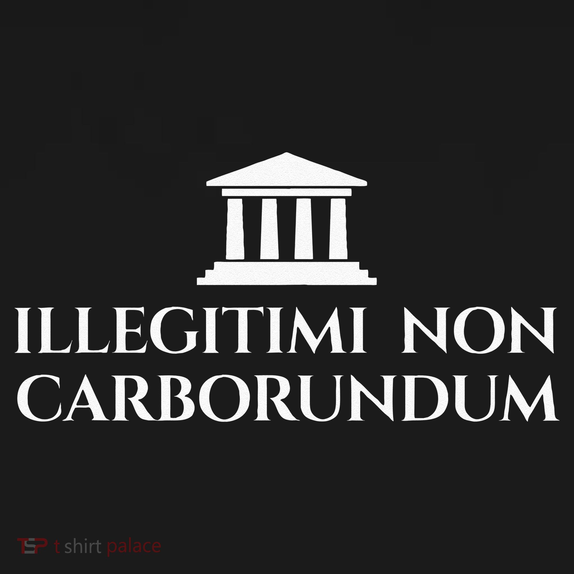 Illegitimi Non Carborundum Funny Dog Latin Phrase Women's Hoodie
