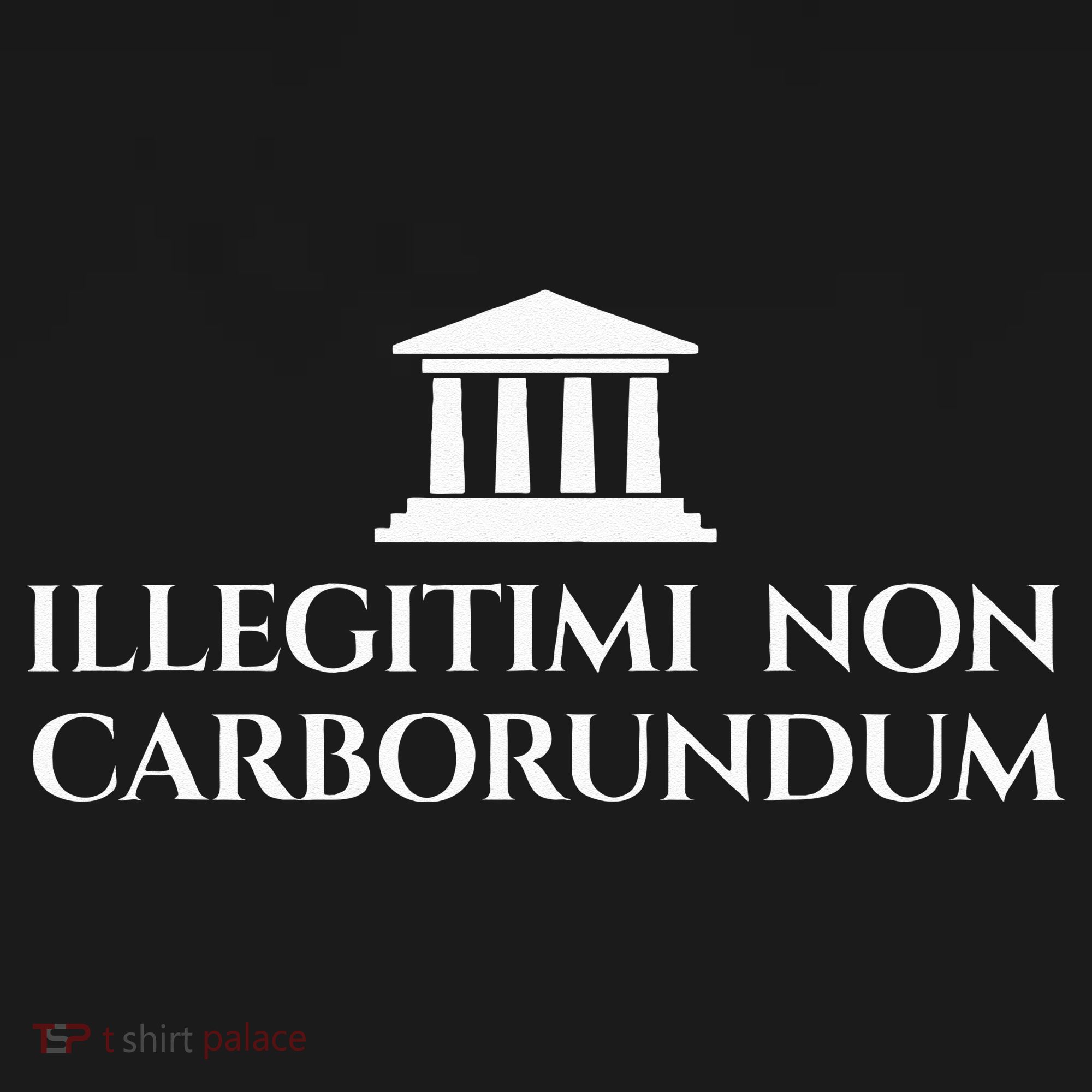 Illegitimi Non Carborundum Funny Dog Latin Phrase Women's Hoodie