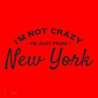 I'm Not Crazy I'm Just From New York Santa Hat thumb 1