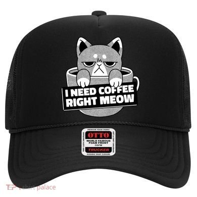 I Need Coffee Right Meow Hat