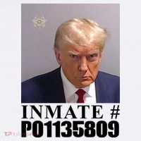 Inmate Number Donald Trump Mugshot Beanie thumb 2