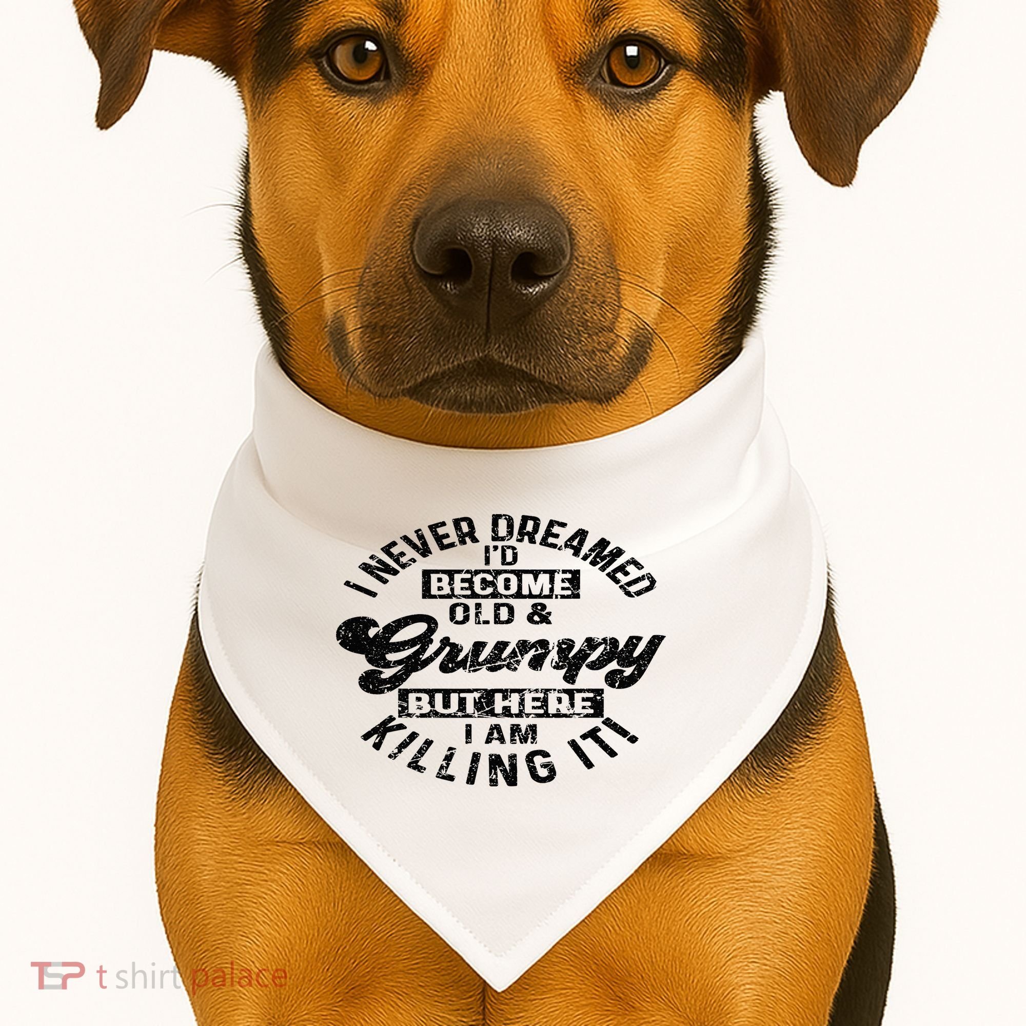 I Never Dreamed That Id Become A Grumpy Old Man Grandpa USA-Made Doggie Bandana