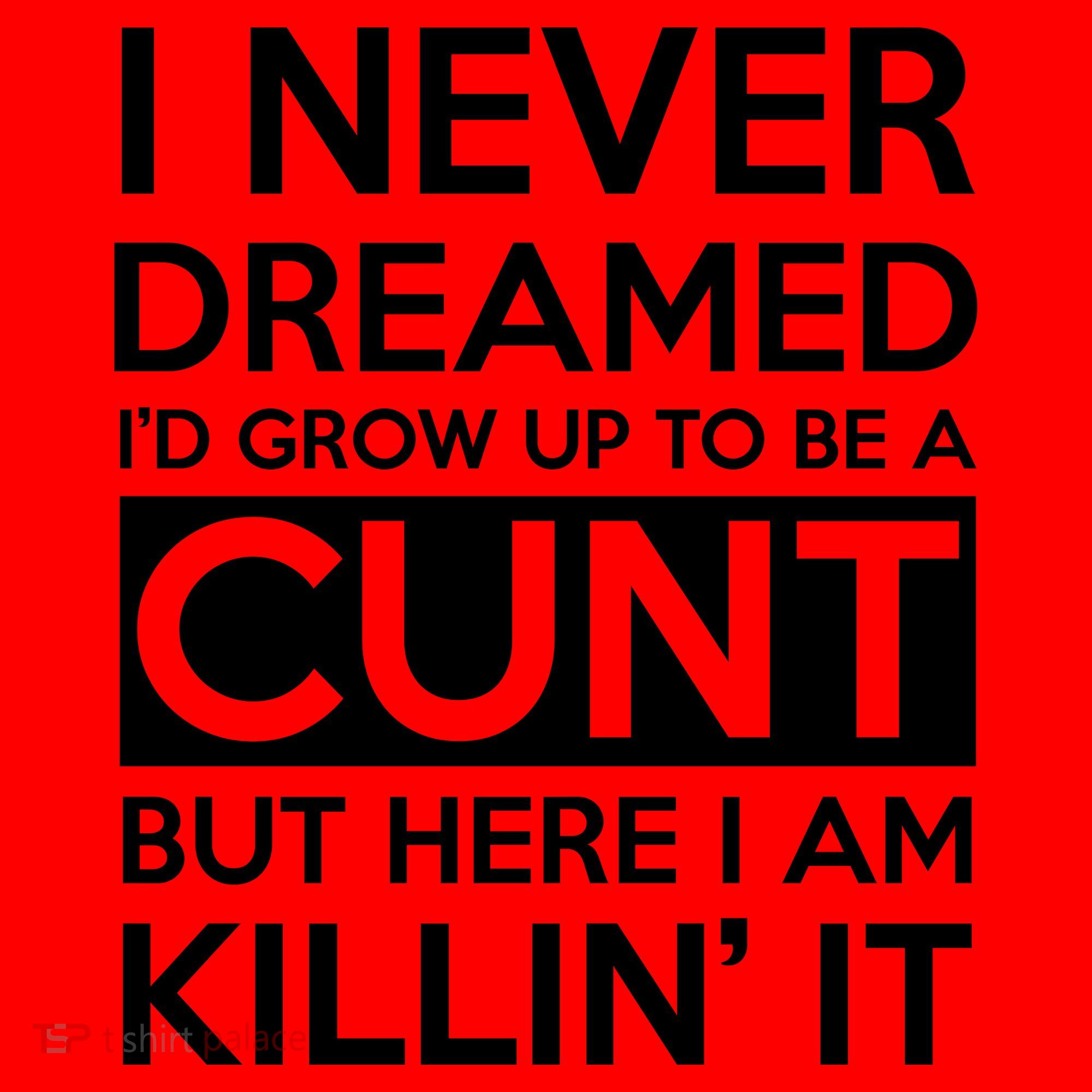 I Never Dreamed Id Grow Up To Be A Cunt Santa Hat