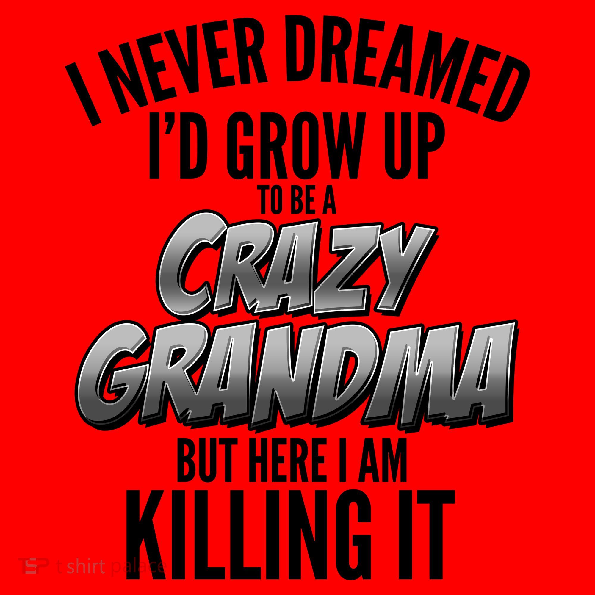 I Never Dreamed I'd Grow Up To Be A Crazy Grandma Santa Hat
