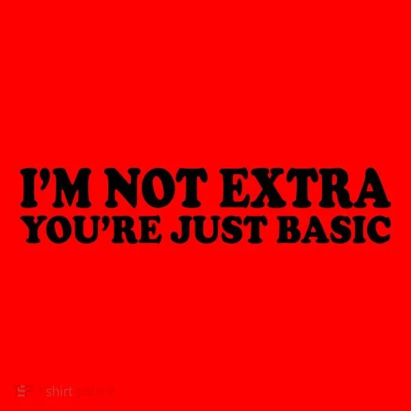 Im Not Extra Youre Just Basic Funny Gift Santa Hat