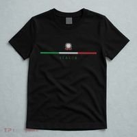 Italia National Flag Colors Italy Crest Logo Italian Roots T-Shirt thumb 5
