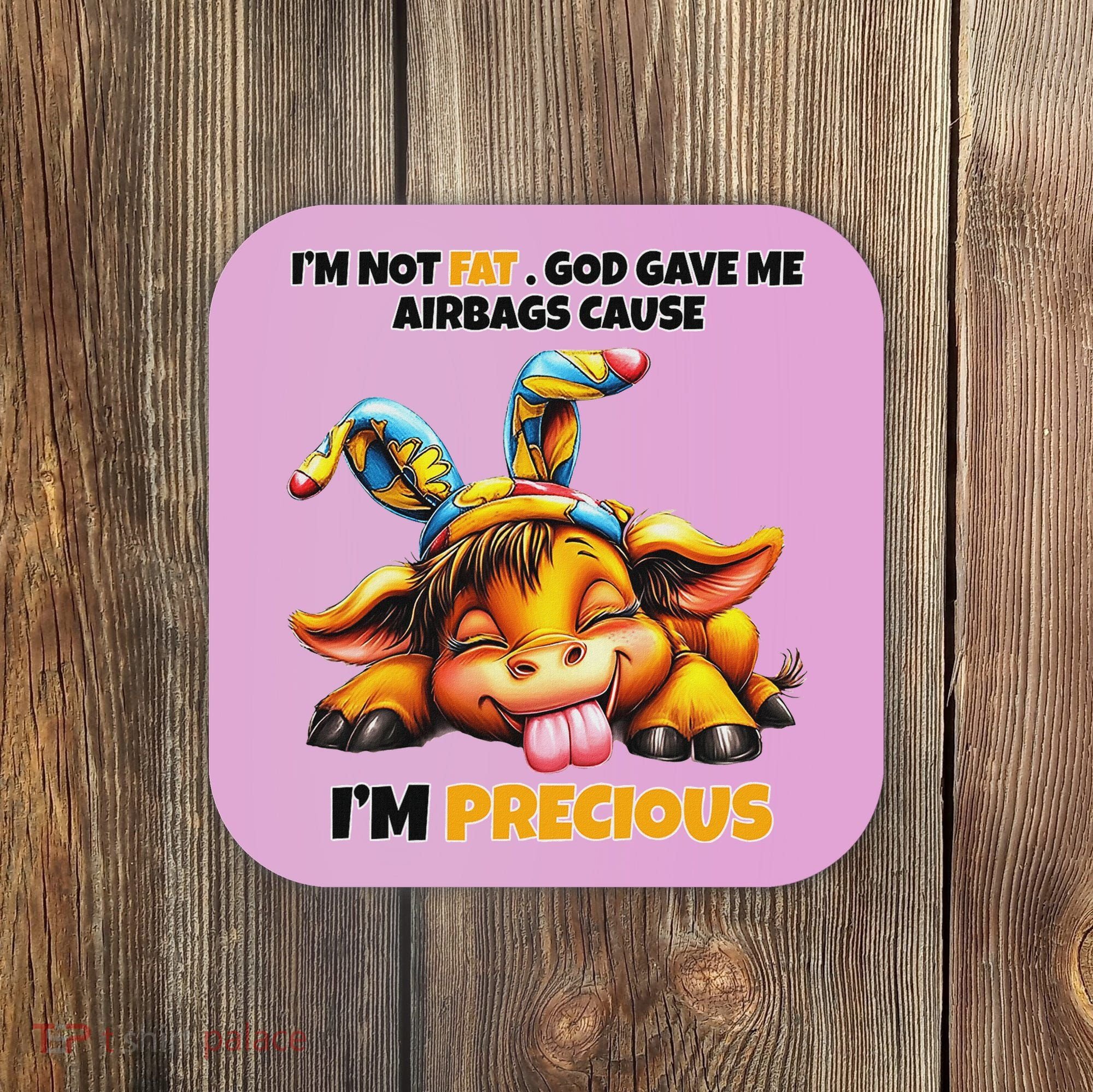 IM Not Fat God Gave Me Airbags Cause IM Precious Coaster