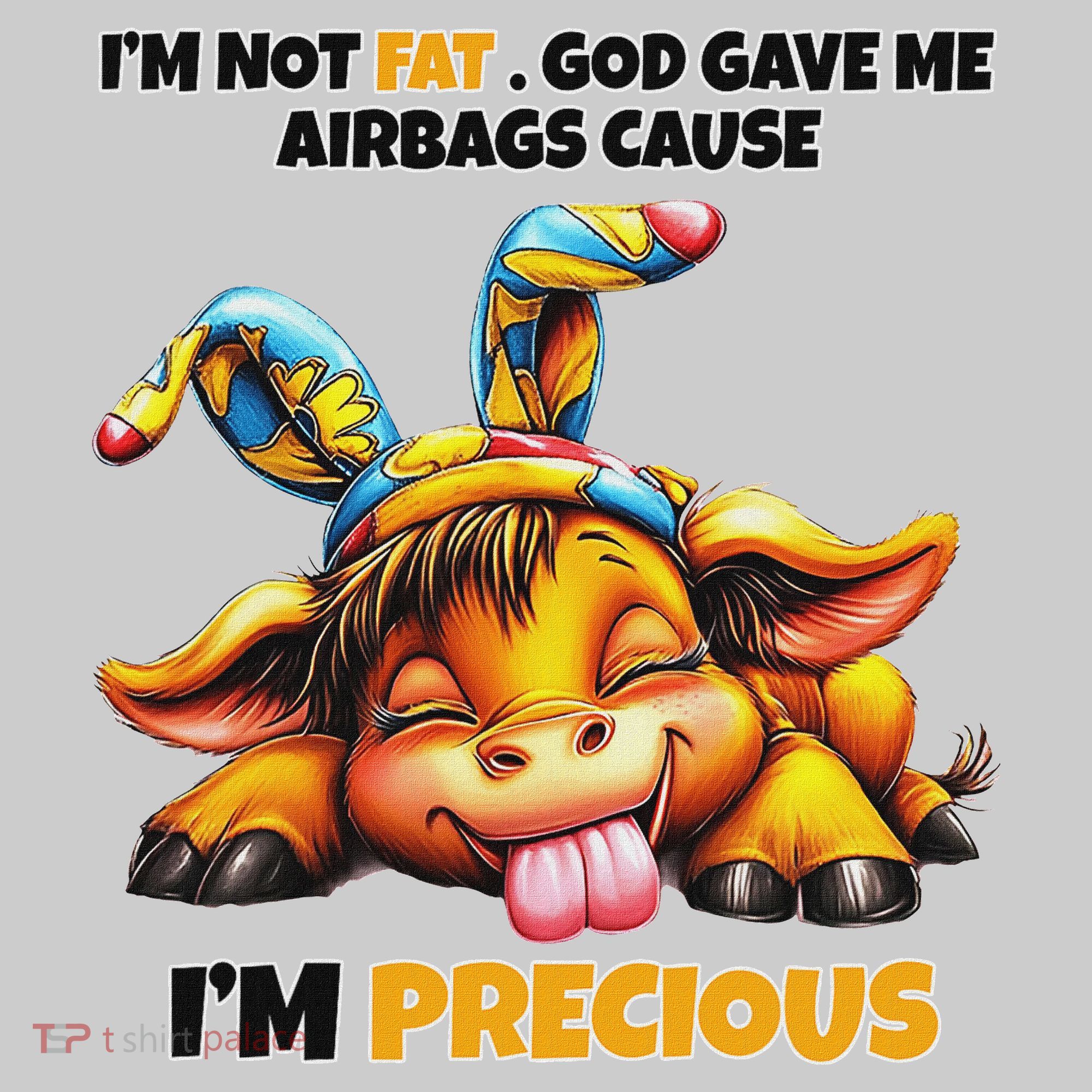 IM Not Fat God Gave Me Airbags Cause IM Precious Performance Fleece Hoodie