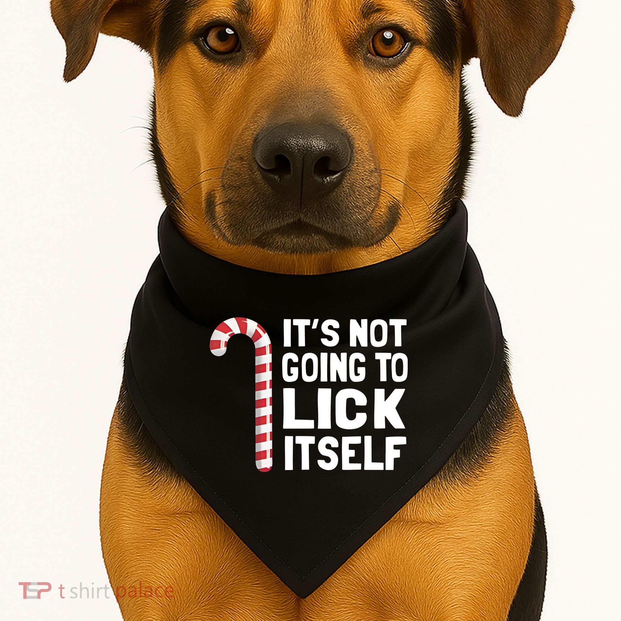 ItS Not Going To Lick Itself USA-Made Doggie Bandana