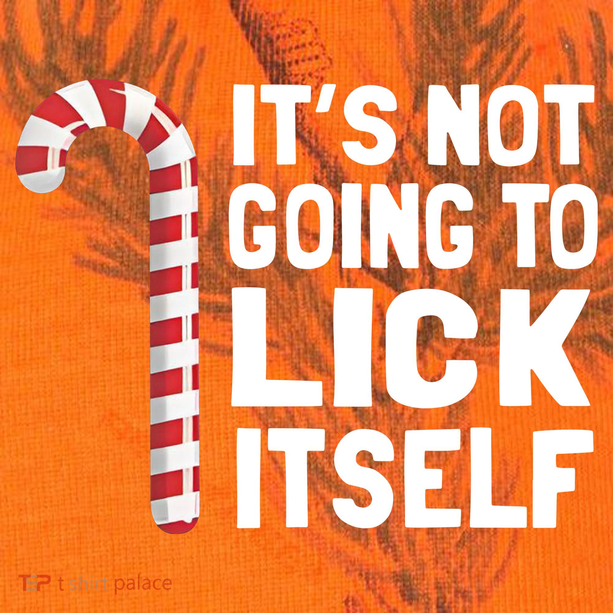 ItS Not Going To Lick Itself Kati Licensed 12" Camo Cuffed Beanie