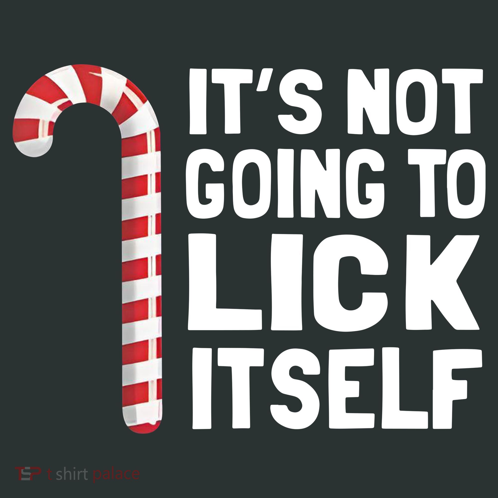 ItS Not Going To Lick Itself Infant Baby Jersey Bodysuit