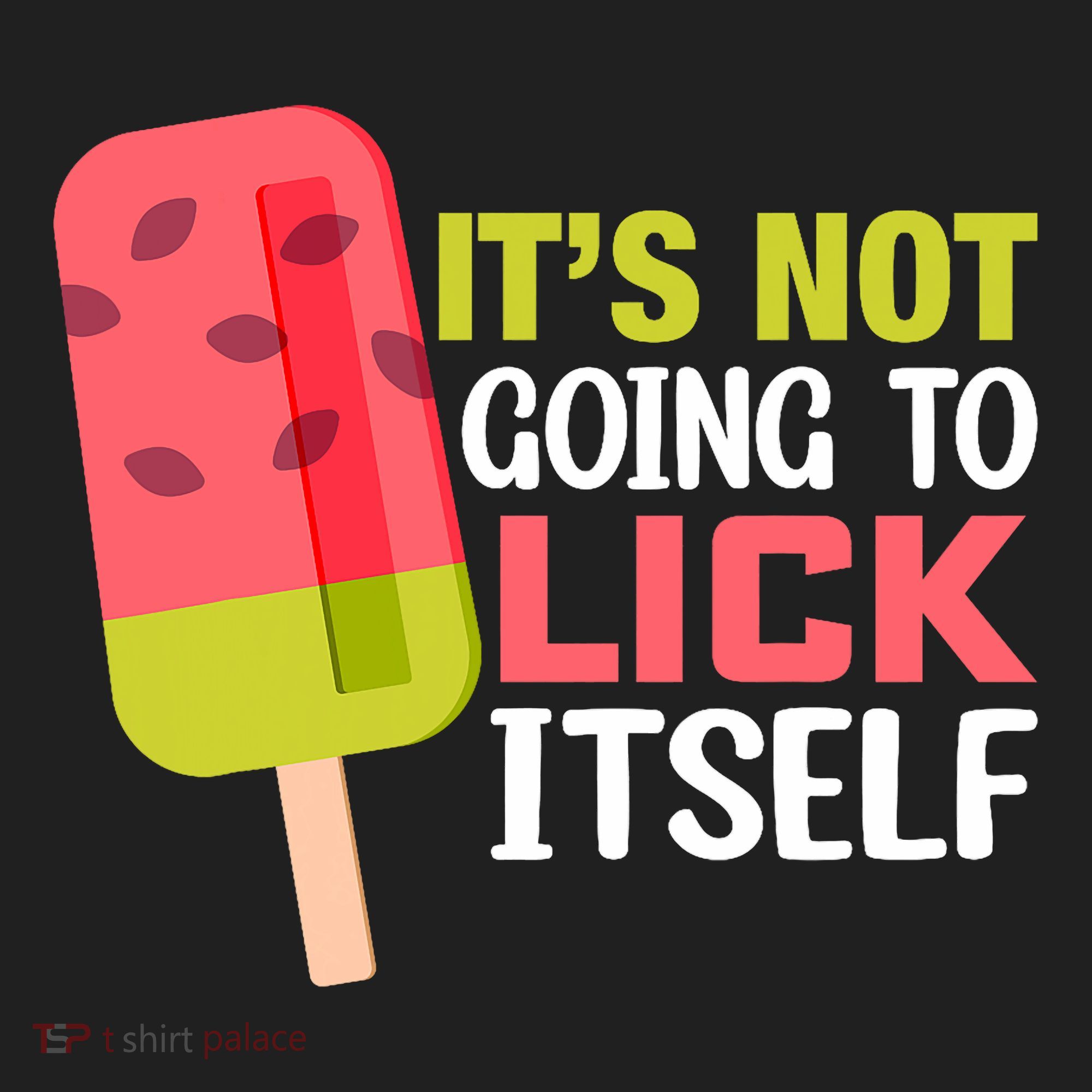 ItS Not Going To Lick Itself Summer Clothes Ice Cream Party Hat