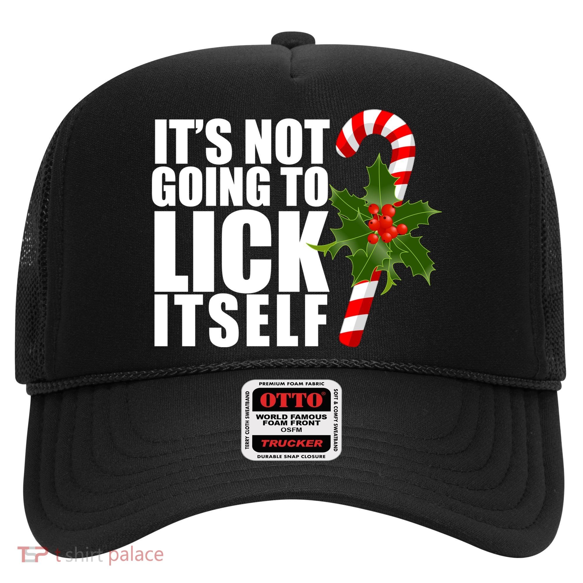 It's Not Going To Lick Itself Funny Candy Cane Christmas Hat