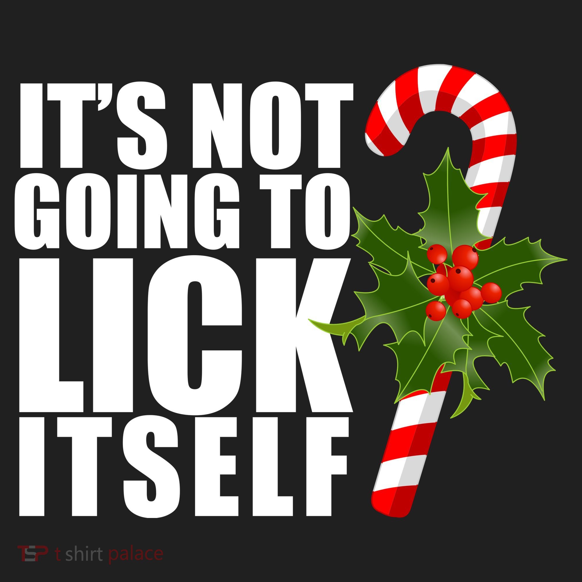 It's Not Going To Lick Itself Funny Candy Cane Christmas Hat