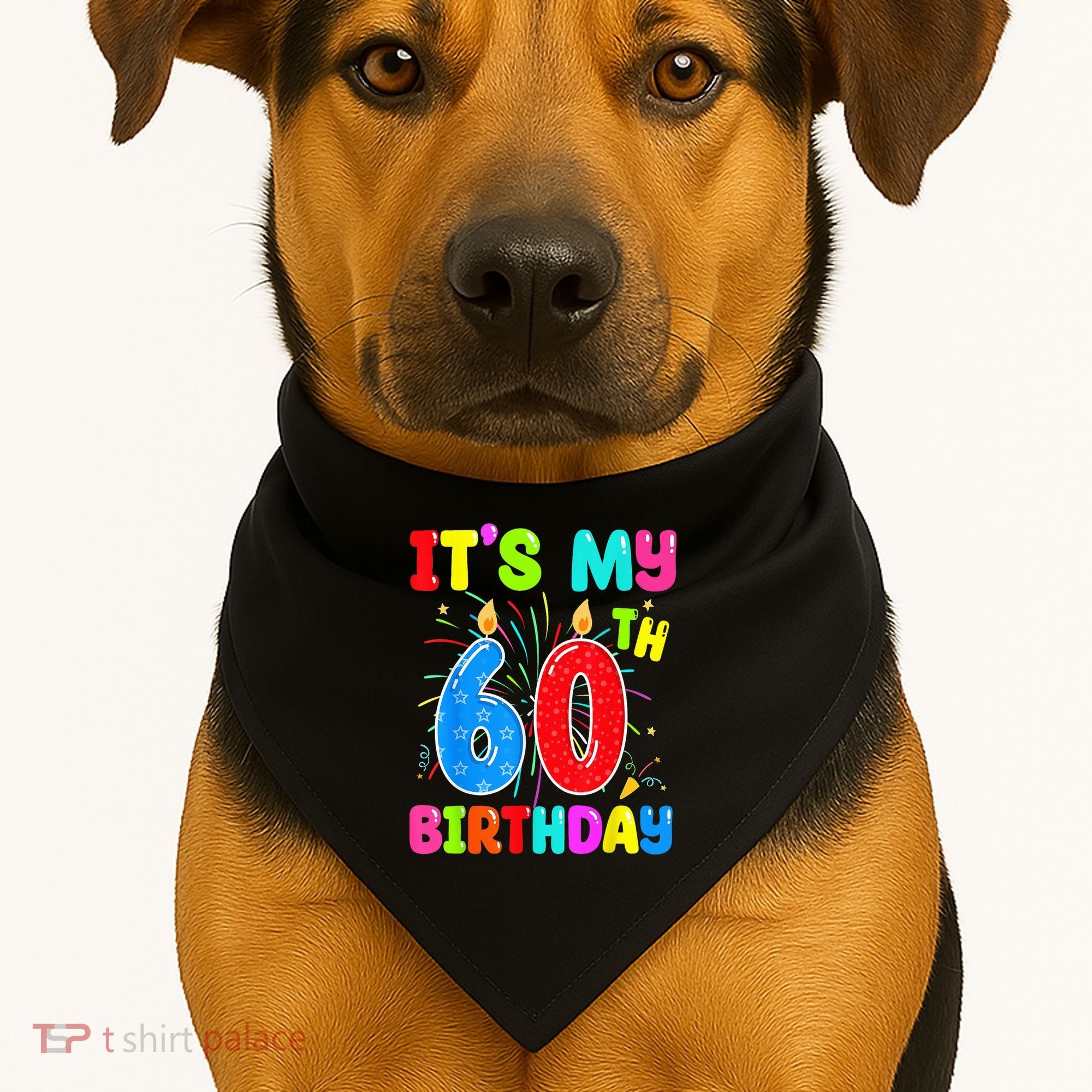 Im Not Going Grey Im Turning Chrome Motorcycle 60th Birthday USA-Made Doggie Bandana