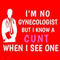 I'm No Gynecologist But I Know A Cunt When I See One Funny Sarcasm Gift Santa Hat thumb 1