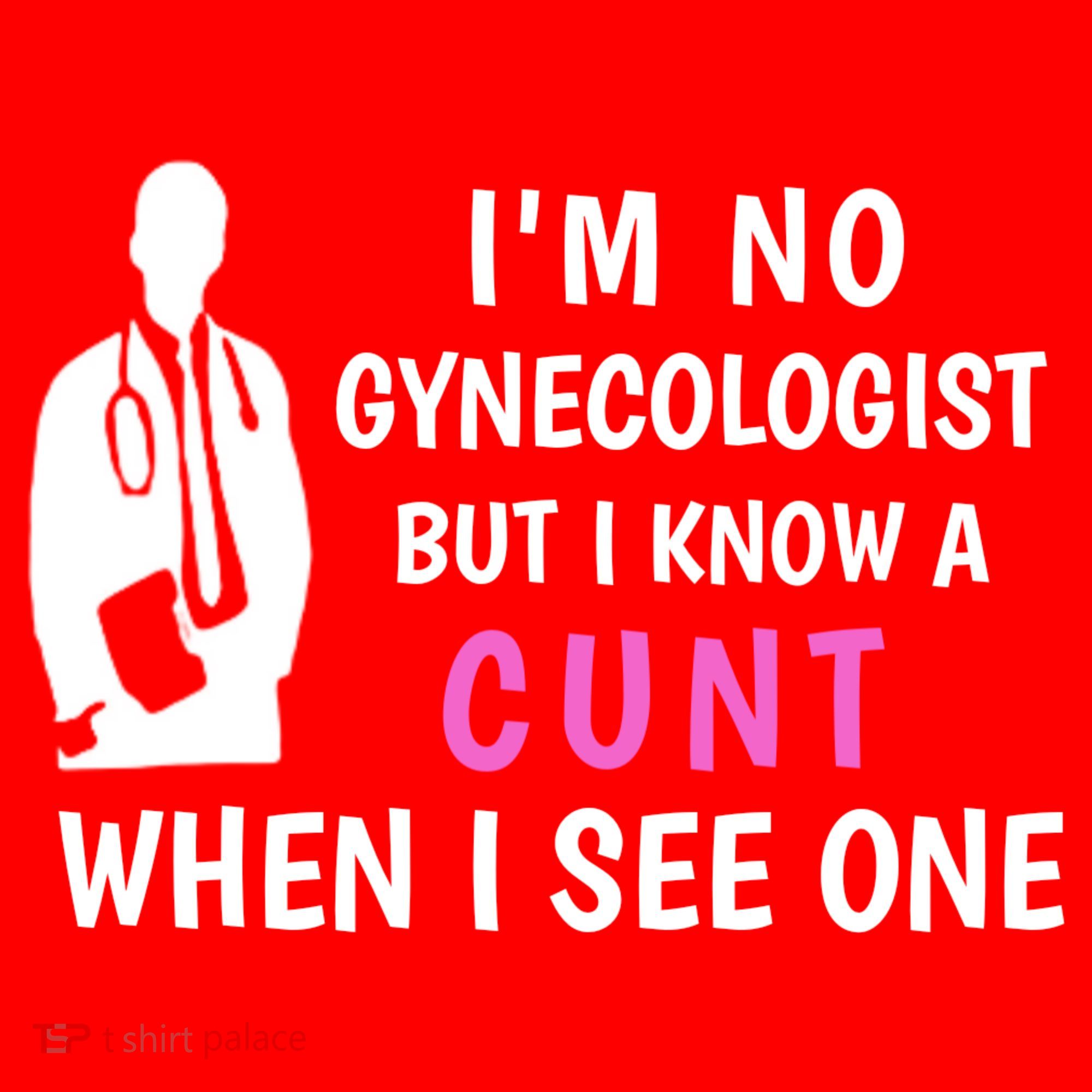 I'm No Gynecologist But I Know A Cunt When I See One Funny Sarcasm Gift Santa Hat
