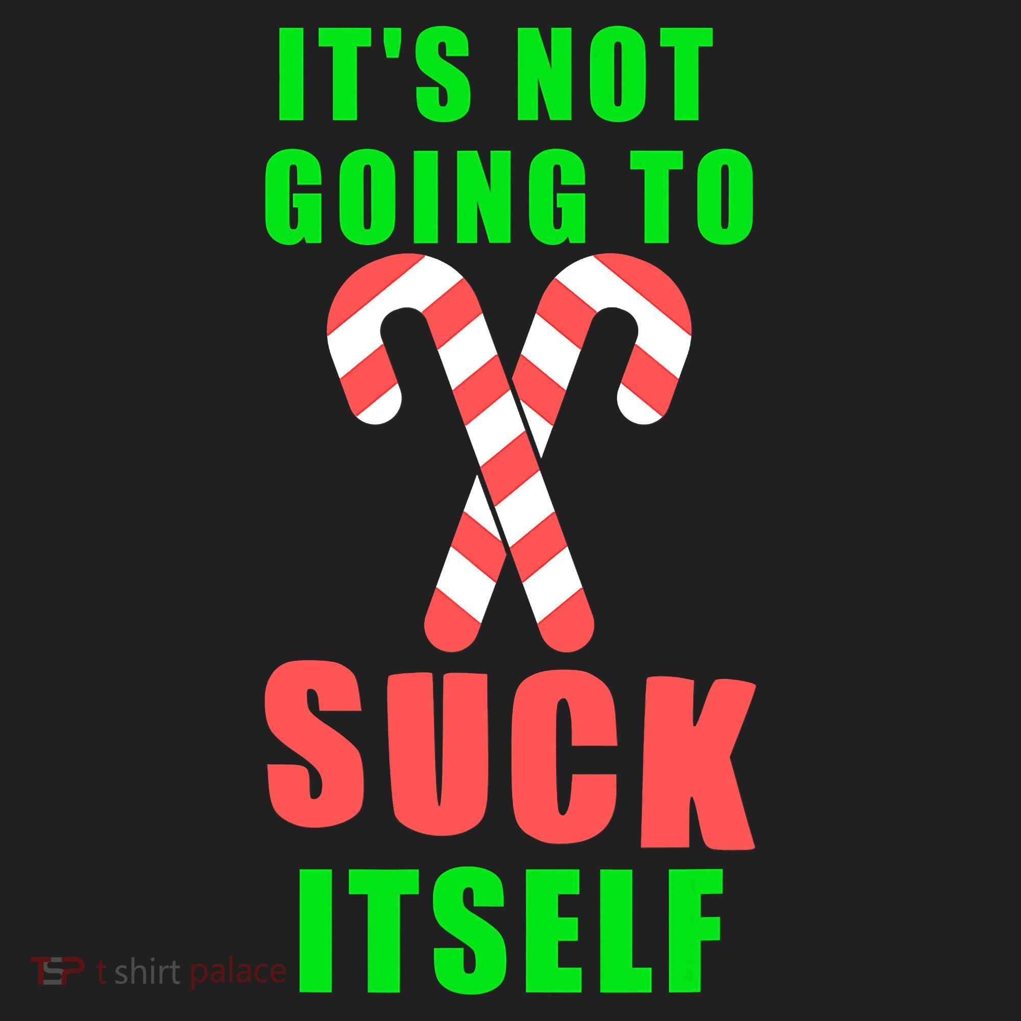 Its Not Going To Suck Itself Funny Inappropriate Xmas Hat