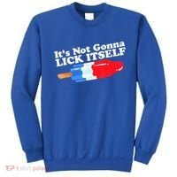 Its Not Gonna Lick Itself Funny Popsicle 4th Of July Gifts Sweatshirt thumb 0