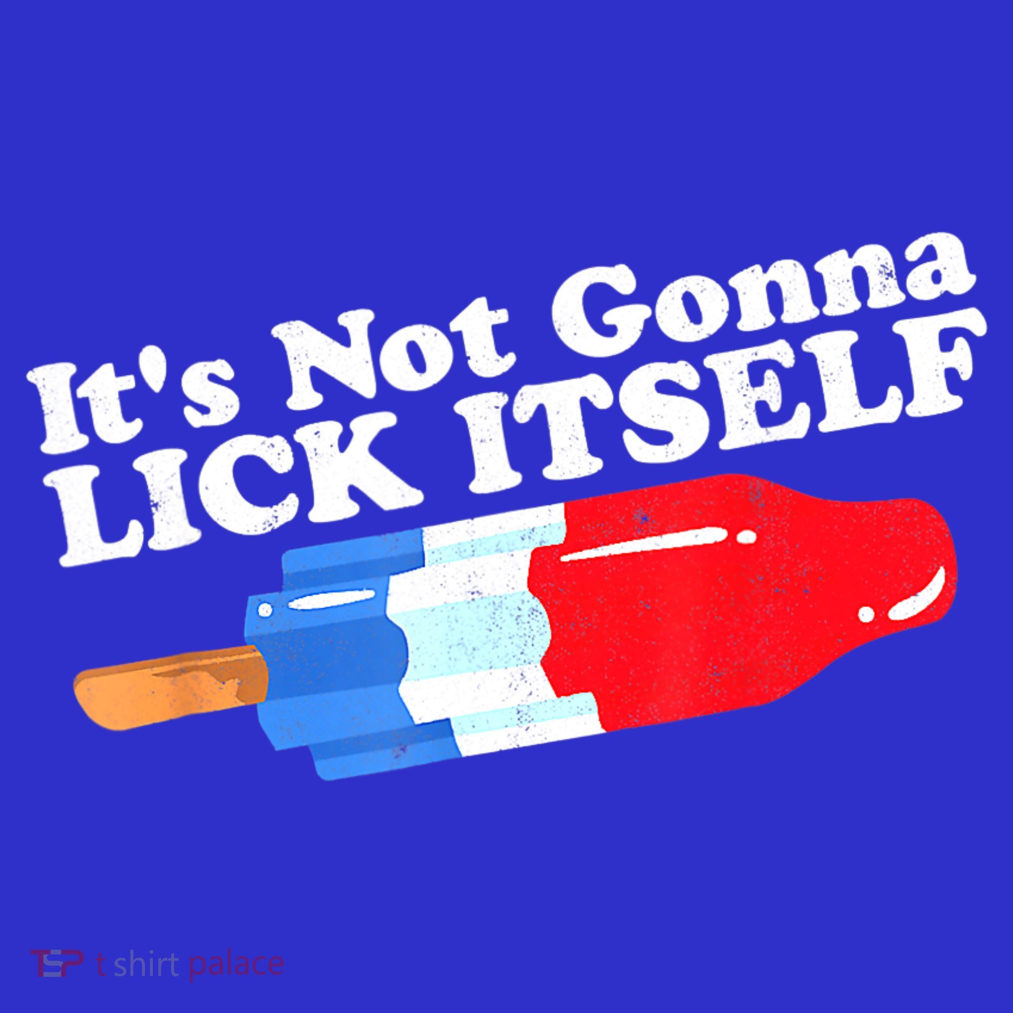 Its Not Gonna Lick Itself Funny Popsicle 4th Of July Gifts T-Shirt
