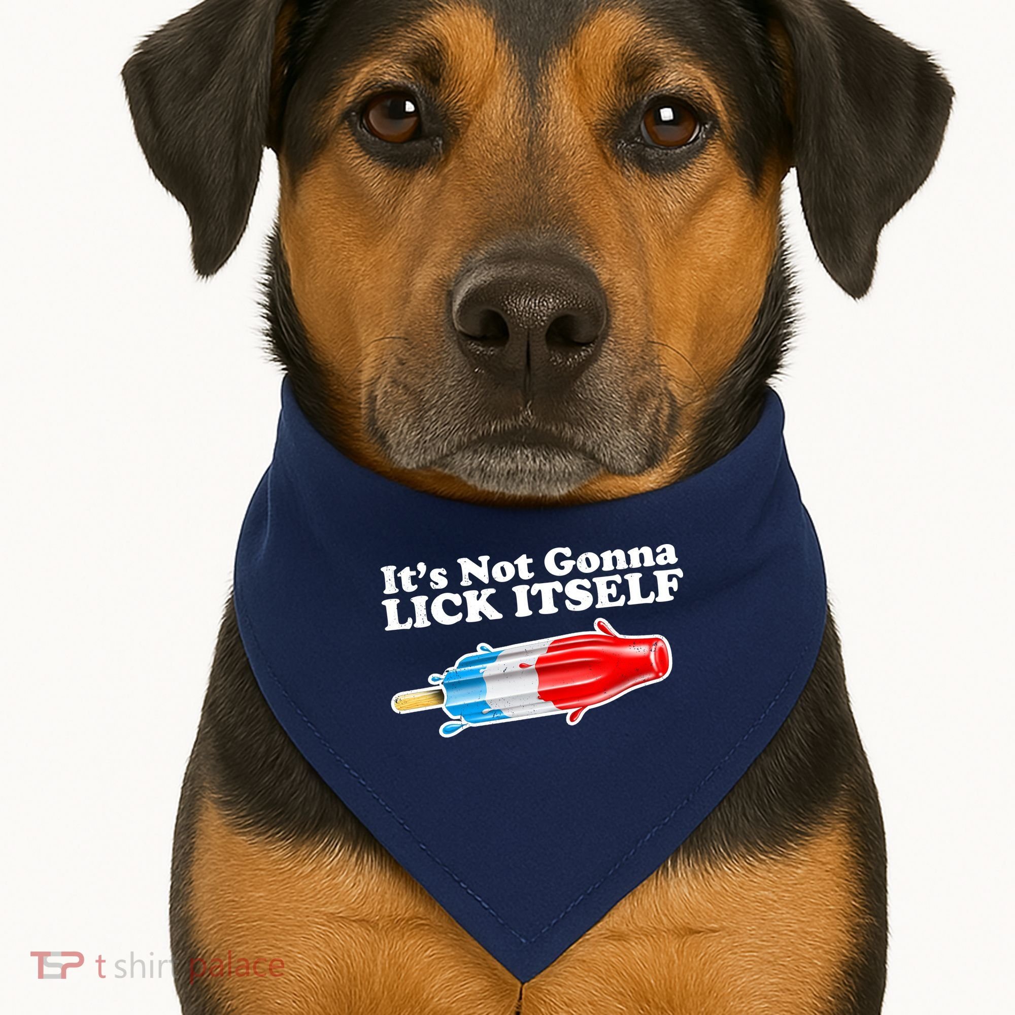Its Not Gonna Lick Itself Funny Popsicle USA-Made Doggie Bandana