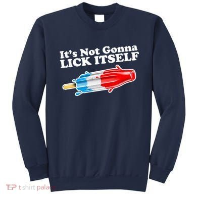 Its Not Gonna Lick Itself Funny Popsicle Sweatshirt