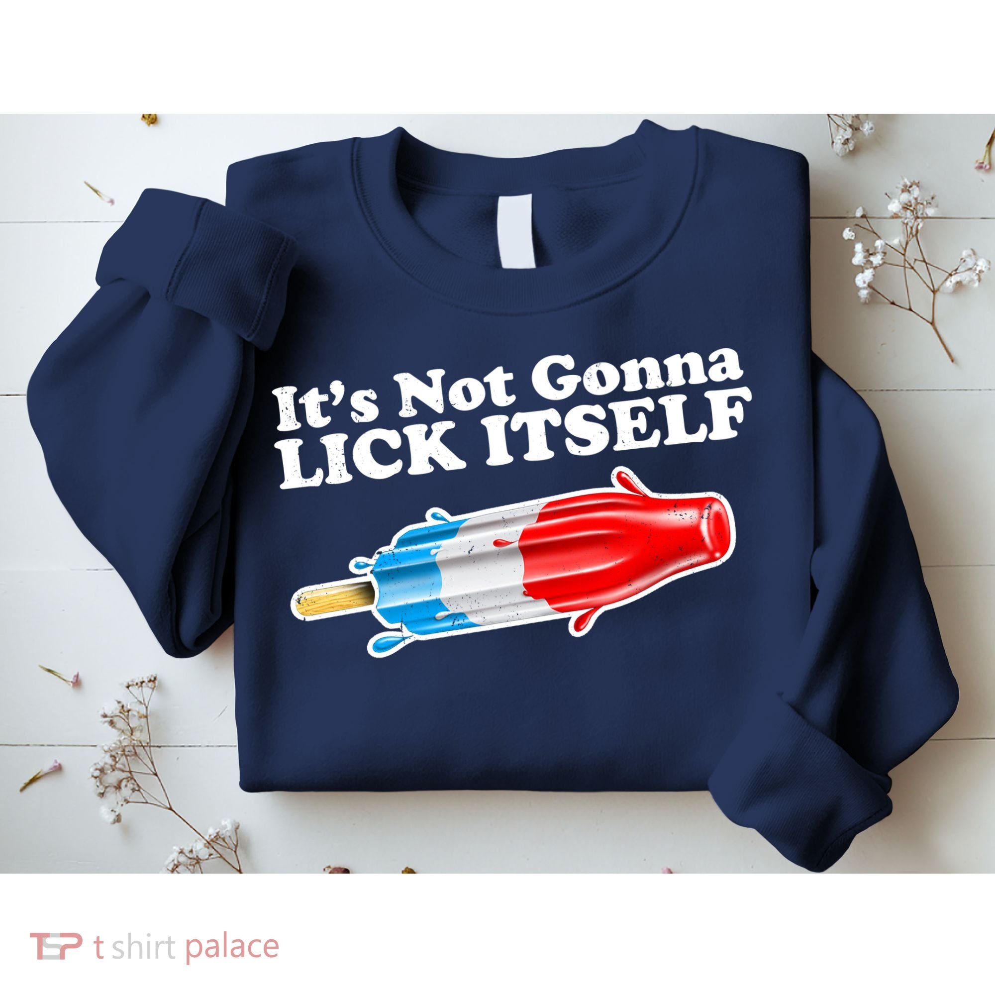 Its Not Gonna Lick Itself Funny Popsicle Sweatshirt