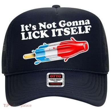 Its Not Gonna Lick Itself Funny Popsicle Hat